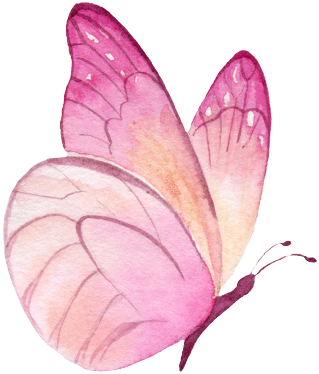 Butterfly 1