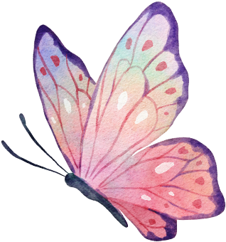 Butterfly 2
