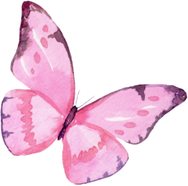 Butterfly 3
